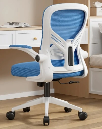 Ergo Mesh Chair